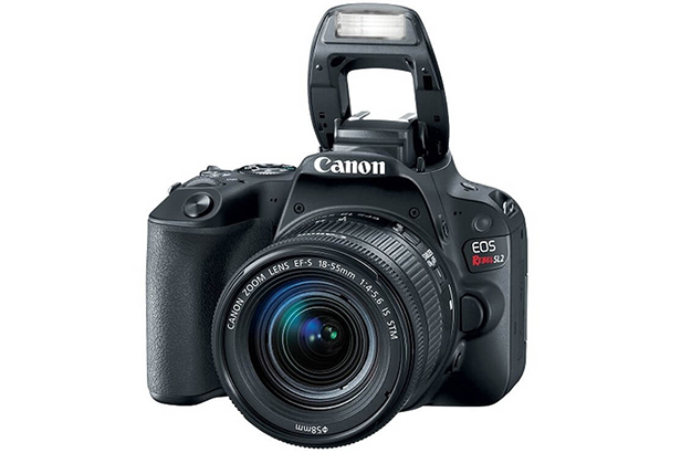 https://www.lojassantaifigenia.com.br/blog/wp-content/uploads/2019/07/Cameras-para-youtubers-Canon-SL2.jpg